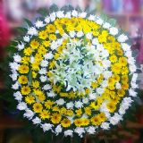 蛟河开业花篮